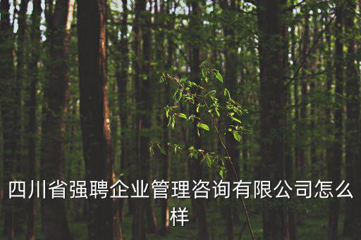 四川省強(qiáng)聘企業(yè)管理咨詢有限公司怎么樣