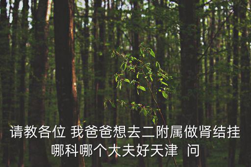 請教各位 我爸爸想去二附屬做腎結掛哪科哪個大夫好天津  問