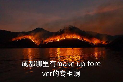 成都哪里有make up forever的專柜啊