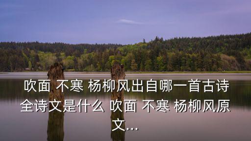  吹面 不寒 楊柳風出自哪一首古詩全詩文是什么 吹面 不寒 楊柳風原文...