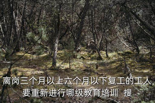 離崗三個(gè)月以上六個(gè)月以下復(fù)工的工人要重新進(jìn)行哪級(jí)教育培訓(xùn)  搜