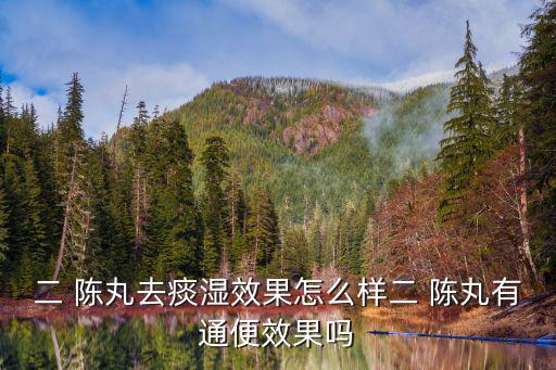 二陳丸的功效與作用