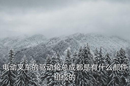 電動叉車的驅(qū)動輪總成都是有什么部件組成的