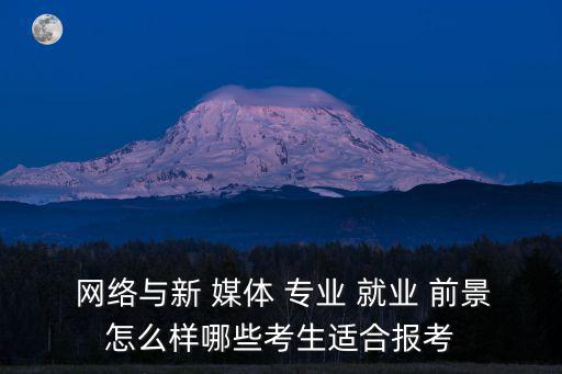 網絡與新媒體專業就業前景