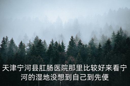 天津寧河縣肛腸醫院那里比較好來看寧河的濕地沒想到自己到先便