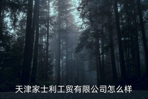 天津市隆興工貿有限公司怎么樣，天津富鑫工貿有限公司怎么樣