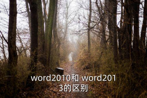 word2010和 word2013的區(qū)別