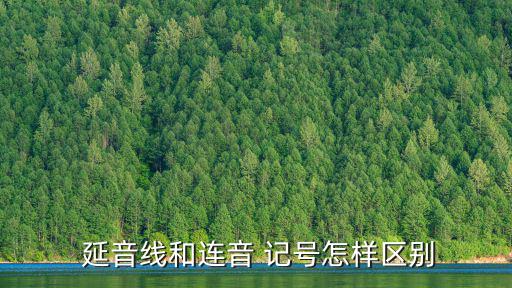  延音線和連音 記號怎樣區(qū)別