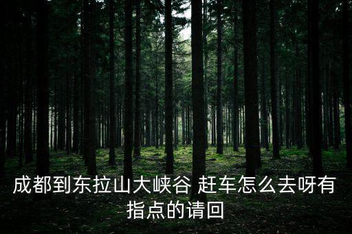 成都到東拉山大峽谷 趕車怎么去呀有指點(diǎn)的請(qǐng)回
