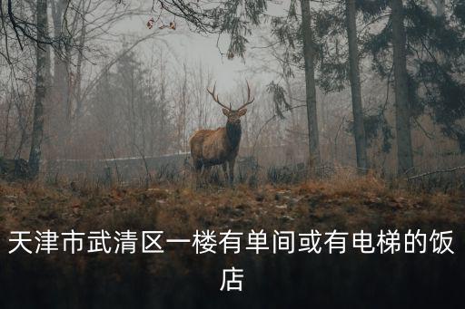 天津市武清區(qū)一樓有單間或有電梯的飯店