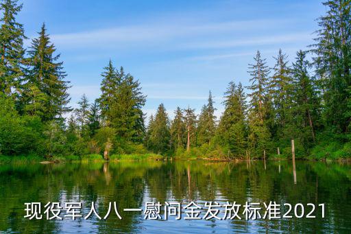 天津市2021年八一慰問金，現(xiàn)役軍人八一慰問金發(fā)放標(biāo)準(zhǔn)2021