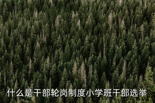 什么是干部輪崗制度小學班干部選舉