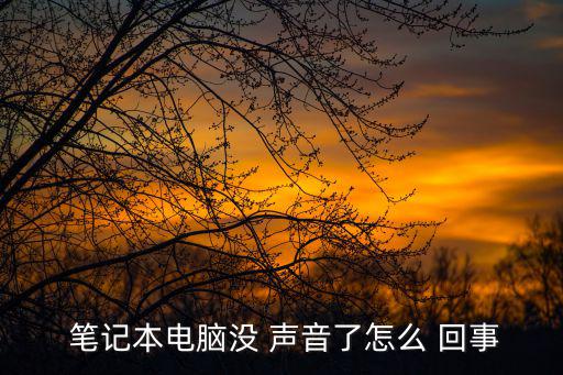  筆記本電腦沒 聲音了怎么 回事