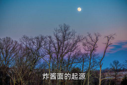 山西炸醬面,中國四大名面之一的羊肉面在北京被叫停