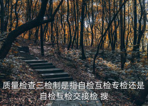 質(zhì)量檢查三檢制是指自檢互檢專檢還是自檢互檢交接檢 搜