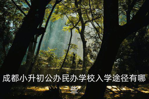 成都市民辦學校小升初怎么辦，成都小升初公辦民辦學校入學途徑有哪些