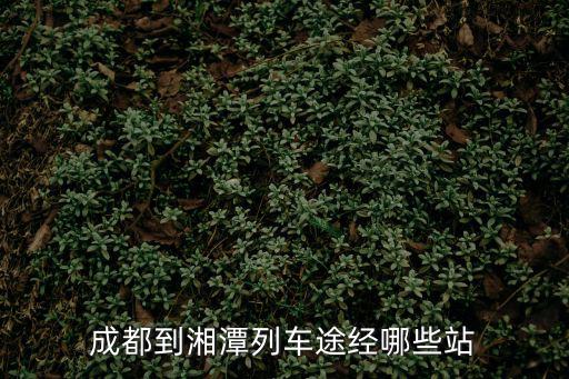 成都到湘潭列車途經哪些站