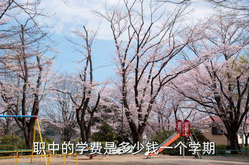 天津市北辰區中等職業技術學校學費，職中的學費是多少錢一個學期