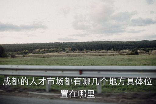 成都的人才市場(chǎng)都有哪幾個(gè)地方具體位置在哪里