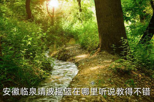 安徽臨泉靖波搖籃在哪里聽說教得不錯