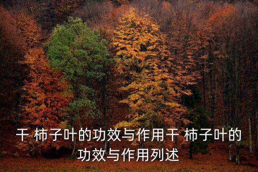 干 柿子葉的功效與作用干 柿子葉的功效與作用列述