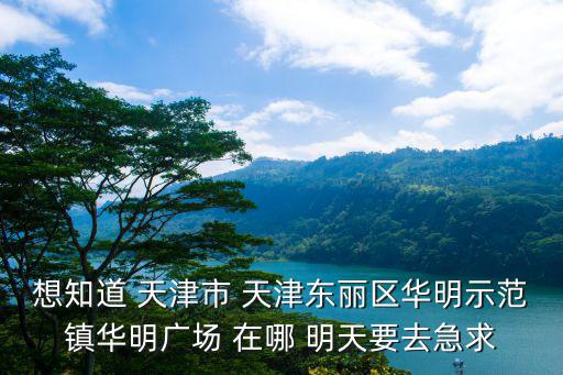 想知道 天津市 天津東麗區華明示范鎮華明廣場 在哪 明天要去急求