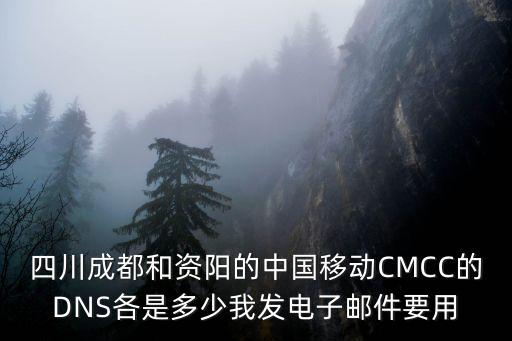 四川成都和資陽的中國移動(dòng)CMCC的DNS各是多少我發(fā)電子郵件要用