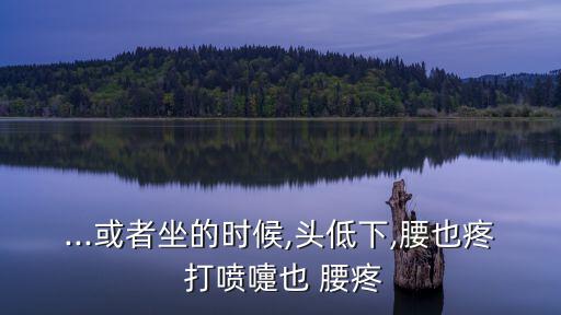 ...或者坐的時候,頭低下,腰也疼 打噴嚏也 腰疼