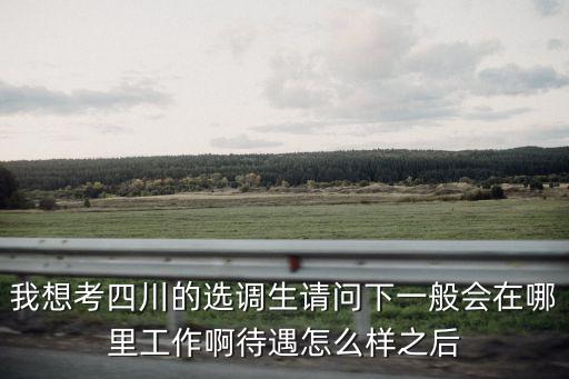 成都市鄧州市選調(diào)生，四川省選調(diào)生面試地點是什么地方啊是填報志愿的地方嗎