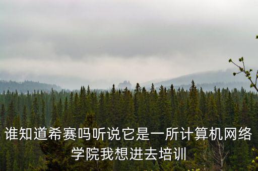 誰知道希賽嗎聽說它是一所計算機網絡學院我想進去培訓