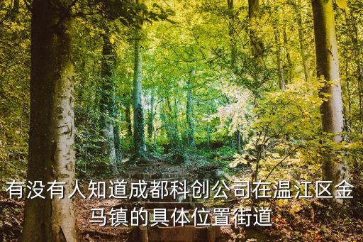 成都市科創路四號院，有沒有人知道成都科創公司在溫江區金馬鎮的具體位置街道