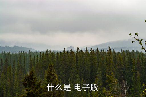 什么是 電子版