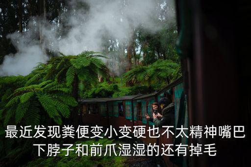 最近發現糞便變小變硬也不太精神嘴巴下脖子和前爪濕濕的還有掉毛