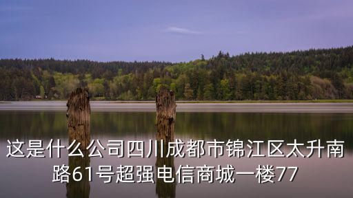 這是什么公司四川成都市錦江區太升南路61號超強電信商城一樓77