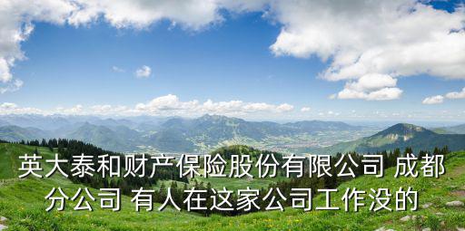 英大泰和財產保險股份有限公司 成都分公司 有人在這家公司工作沒的