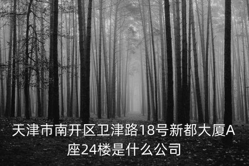 天津市南開區衛津路18號新都大廈A座24樓是什么公司