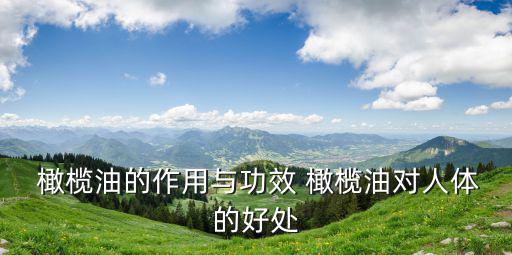  橄欖油的作用與功效 橄欖油對人體的好處