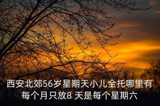 西安北郊56歲星期天小兒全托哪里有每個月只放8 天是每個星期六