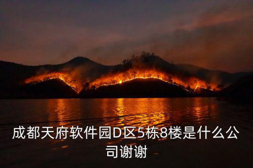 成都天府軟件園D區5棟8樓是什么公司謝謝