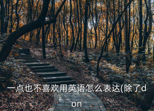 一點也不喜歡用英語怎么表達(除了don