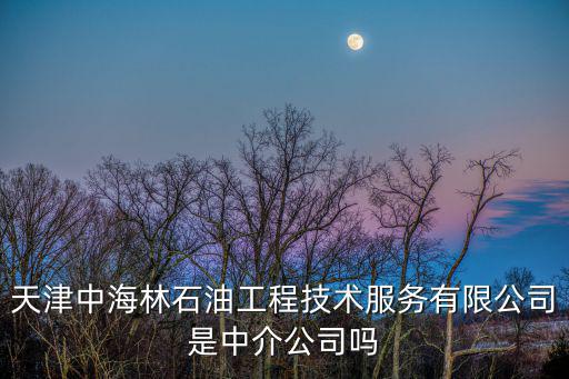 天津中海林石油工程技術(shù)服務(wù)有限公司是中介公司嗎