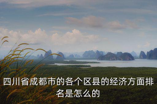 成都市武侯區(qū)數(shù)字經(jīng)濟(jì)，成都市武侯區(qū)在進(jìn)行經(jīng)濟(jì)普查嗎