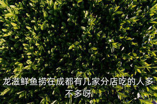 龍滋鮮魚撈在成都有幾家分店吃的人多不多呀