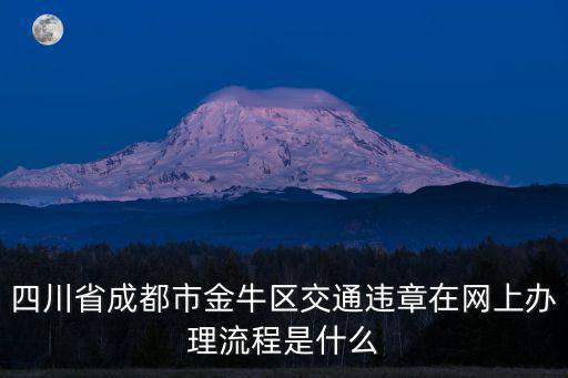 四川省成都市金牛區交通違章在網上辦理流程是什么