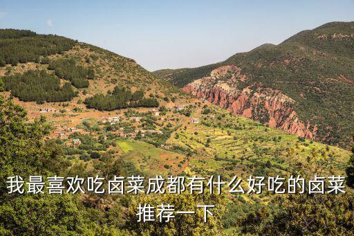 我最喜歡吃鹵菜成都有什么好吃的鹵菜推薦一下