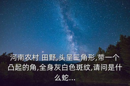 河南農村 田野,頭呈三角形,帶一個凸起的角,全身灰白色斑紋,請問是什么蛇...