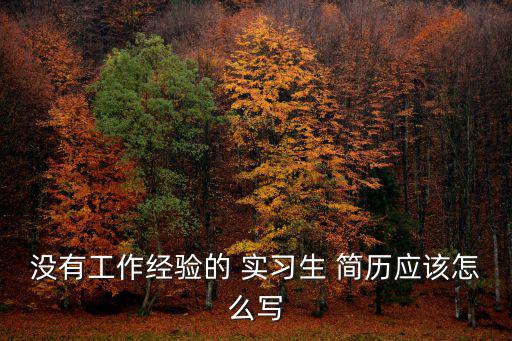 沒有工作經驗的 實習生 簡歷應該怎么寫