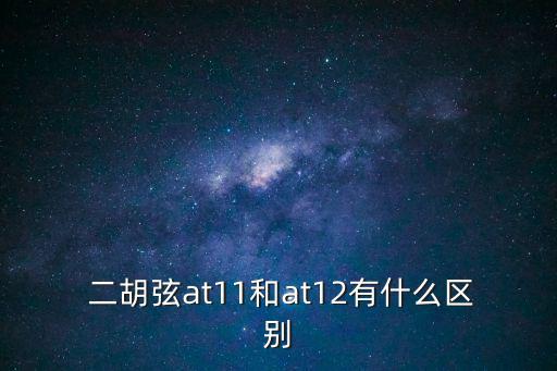 二胡弦,二胡，不能用其他弦代替弦樂器