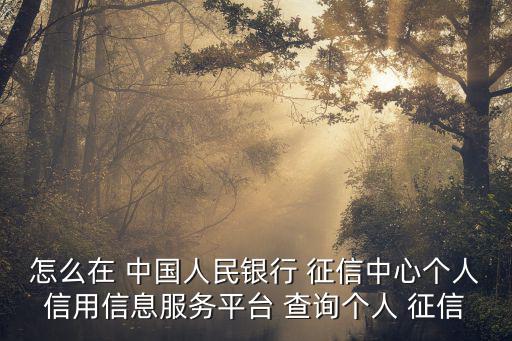 怎么在 中國人民銀行 征信中心個人信用信息服務平臺 查詢個人 征信
