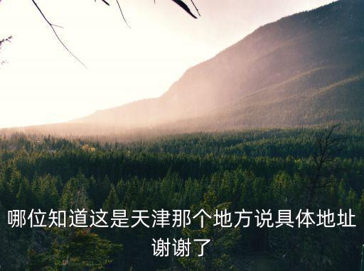 哪位知道這是天津那個地方說具體地址謝謝了